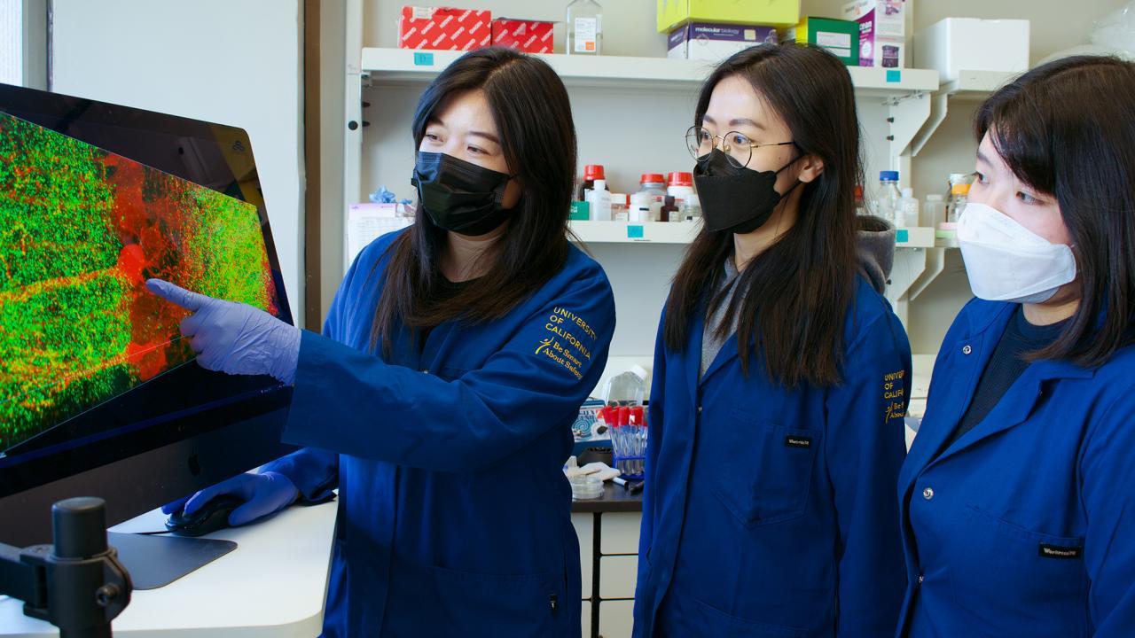 Lin Tian, PhD and graduate students