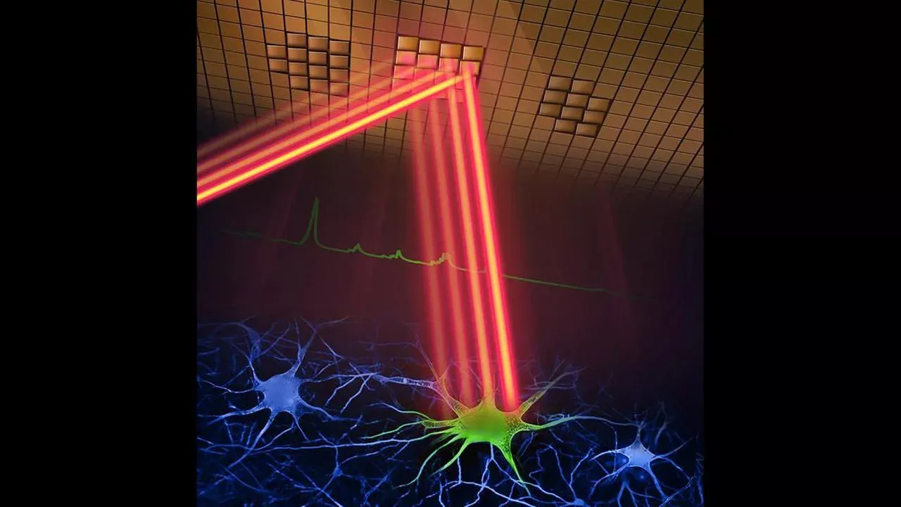Two-photon microscope-Weijian Yang
