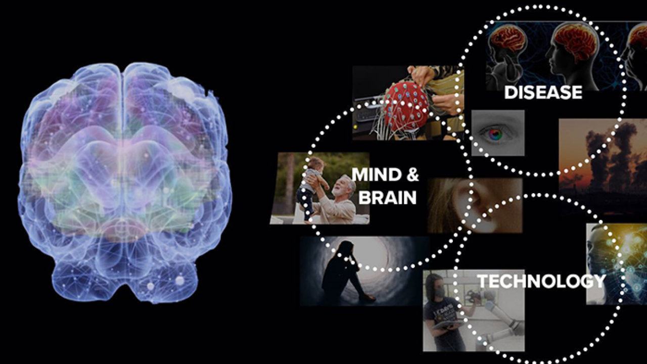 Neuroscience Consortium