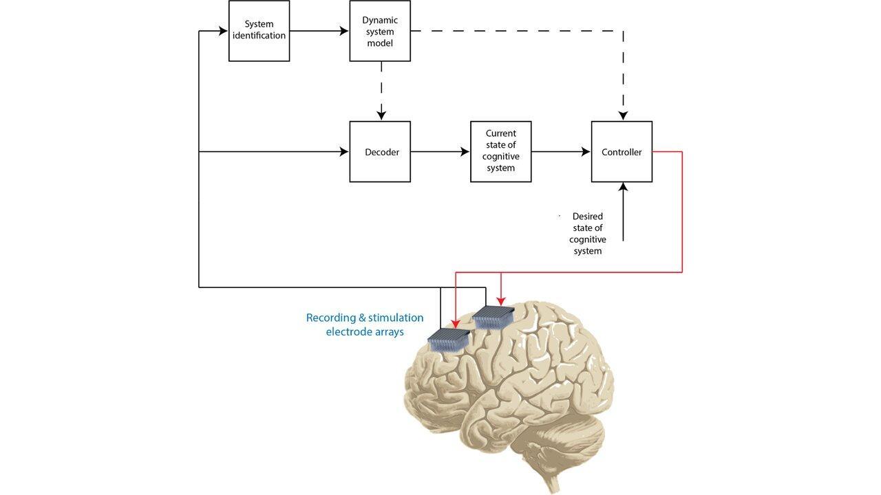 Implantable brain stimulators
