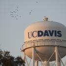 UC Davis Water Tower