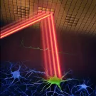 Two-photon microscope-Weijian Yang