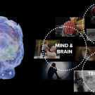 Neuroscience Consortium