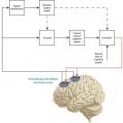UC Davis professors Zhaodan Kong and Jochen Ditterich's proposed framework for developing an intelligent implantable brain stimulation device to treat neurological and psychiatric disorders. (Graphic courtesy of Jochen Ditterich)